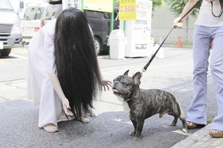 Illustration for article titled Hair Fetish Site Sure Is Horrific